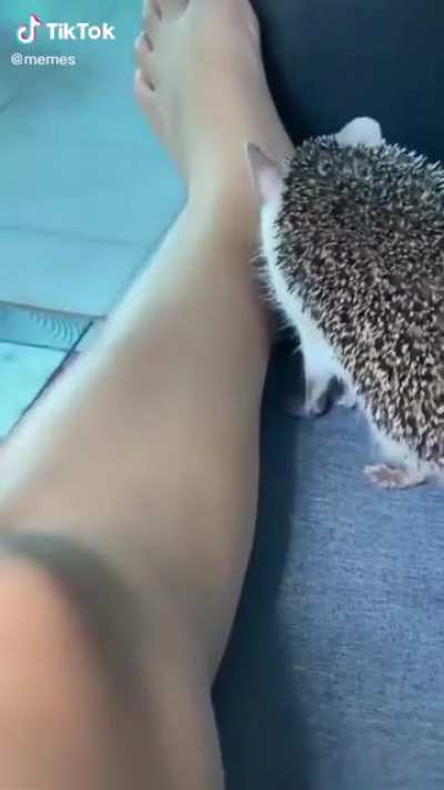 Oof