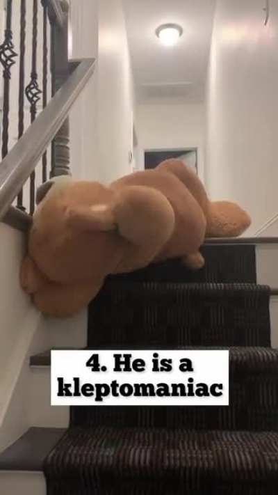 Oh Tyson