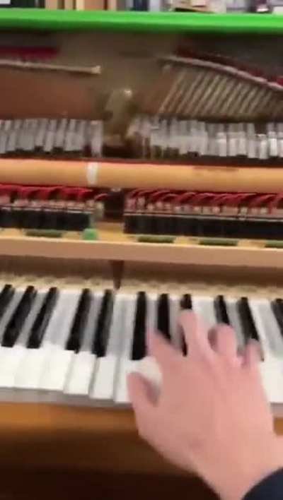 Electric piano from Wish