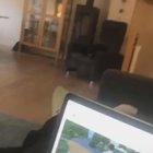 dog yell 3.0