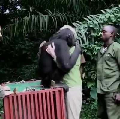 Monkey hug