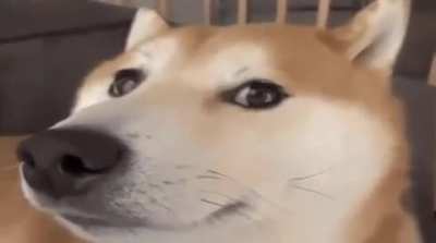 ㅤ