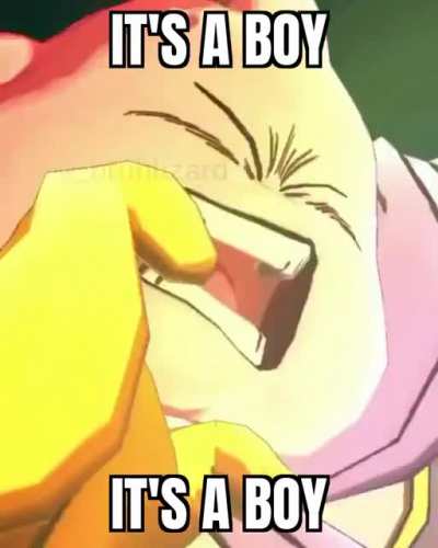How to kill Majin Buu: step 1: set up a gender reveal party, thanks for watching