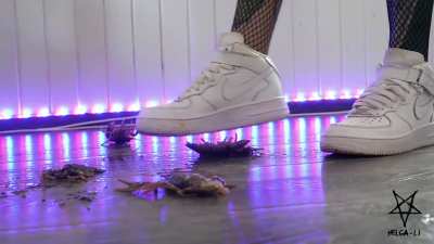 Af1 