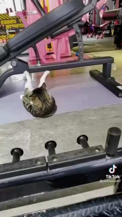 Gym instructor