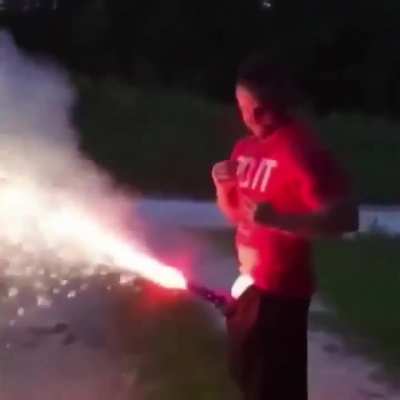 One for the Darwin Awards!