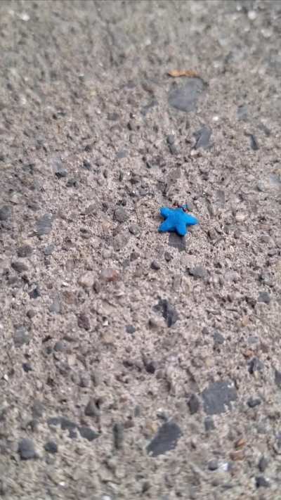 Ant pulling a star sprinkle