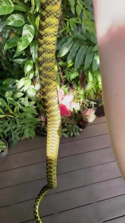 maybe Maybe maybe