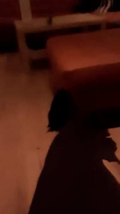 u_I_Need_Sleep_Help