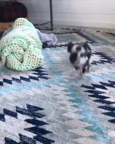 Happy dance