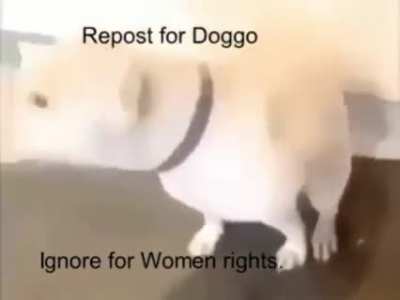 I had to do it