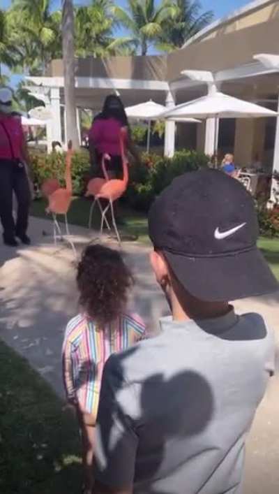 Just where exactly do you think you’re Flamingoing?