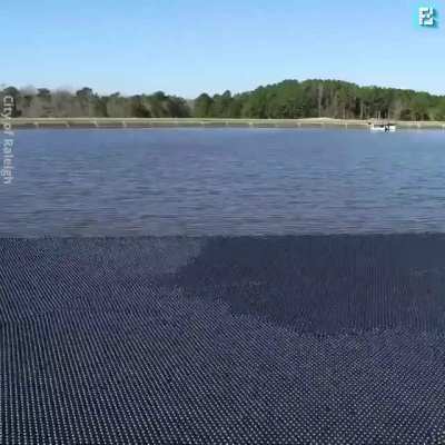 Dumping 96 Million Black Shade Balls To Prevent Water Shortage