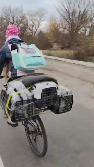 Evacuating cats from Kupiansk
