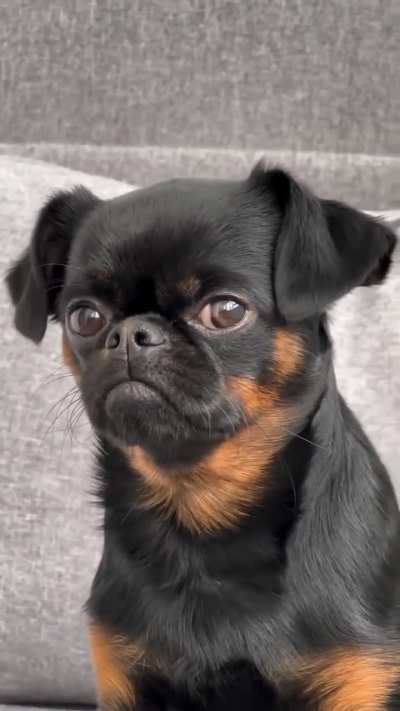 What do you want?