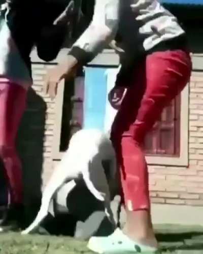 ?Que mierdå¿