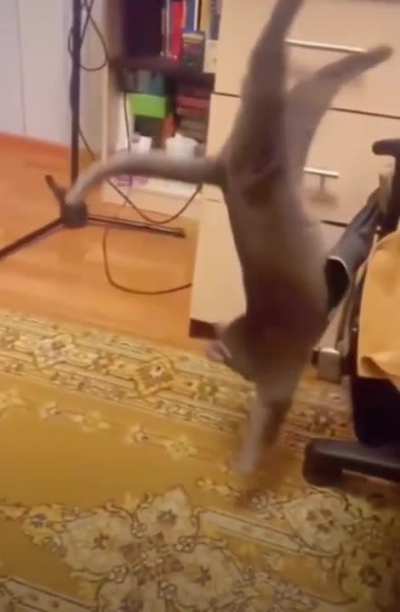 I flips after I sits