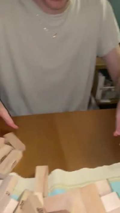 Our cat Chunky wanted to play Jenga with us.