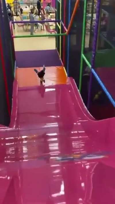 Vroom