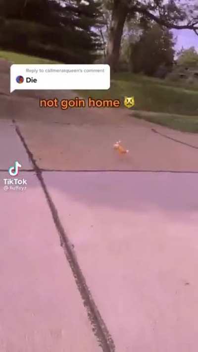 (I hope this isn't a repost, and I'll also hope this is the right Flair-)