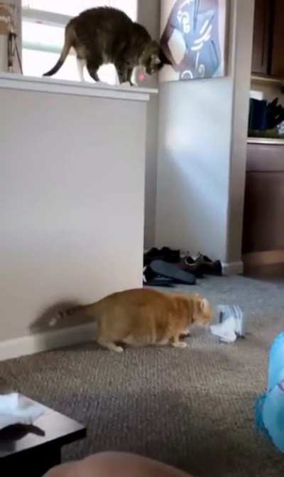 Target Acquired