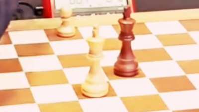Checkmate ♟️
