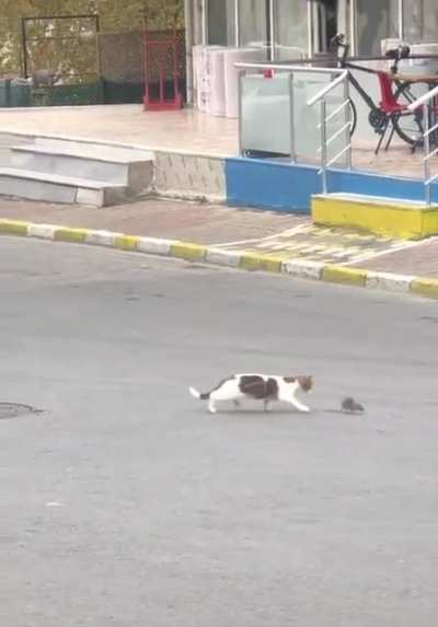 Get off the road..!
