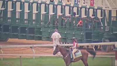 Horse hits the start button to open the gates