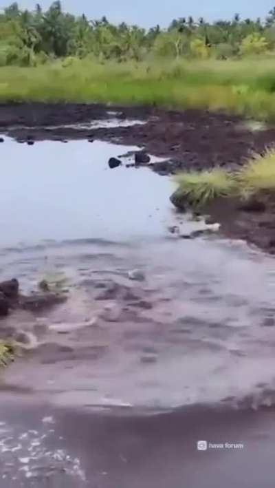 Walking across muddy water