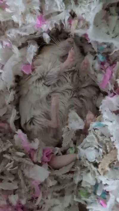 Penelope's favourite thing to do!