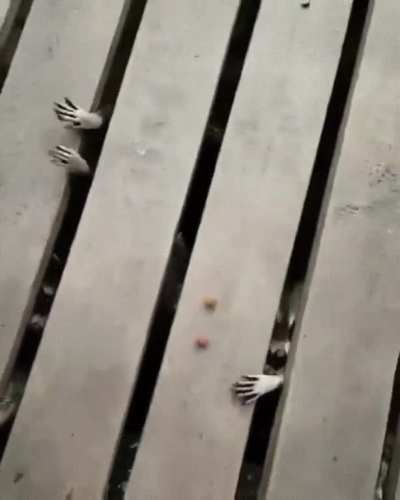 cursed_feeding