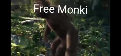 monki