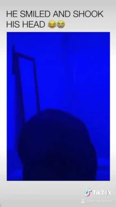 sí