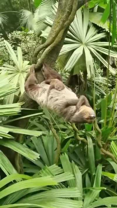 🔥sleeping with mom