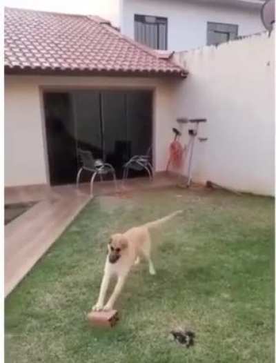 Brick Push