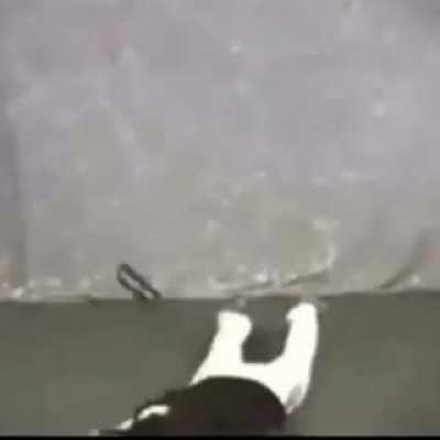 a sequence from an older video