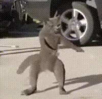 rule