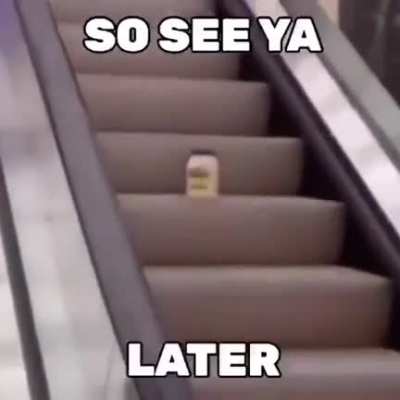mayo