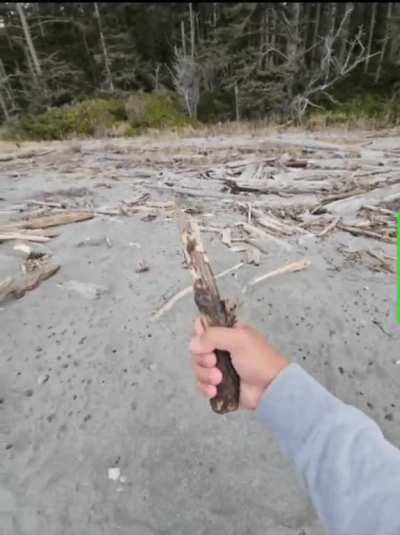 When it looks like a weapon (2of15)