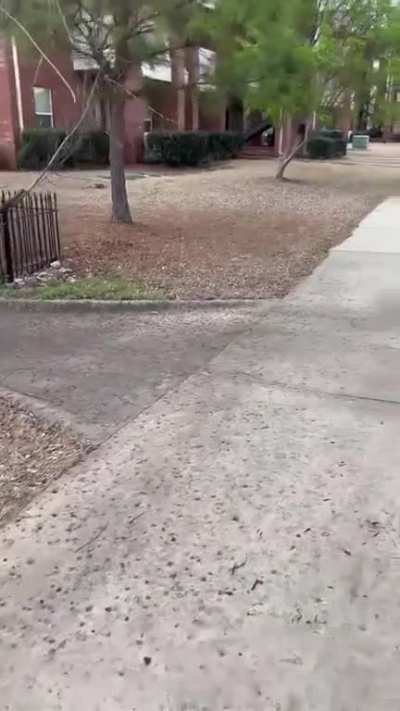 hate it when stupid dog owners let their dog off leash and can’t control them