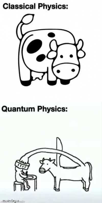 physics cow