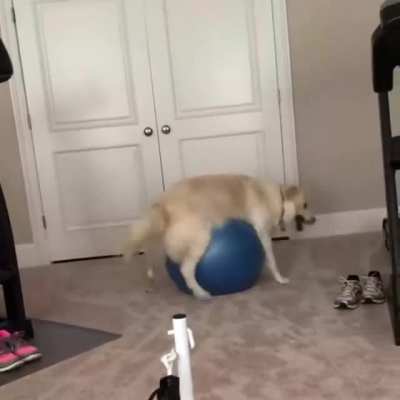please help?