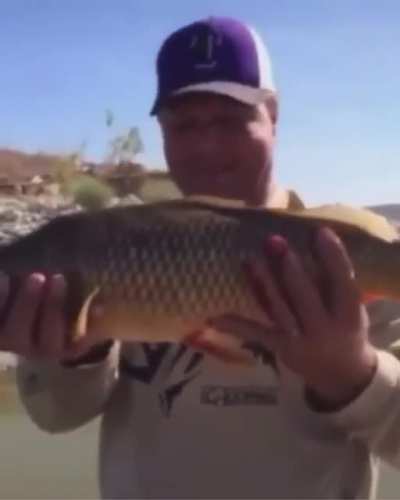 Carp