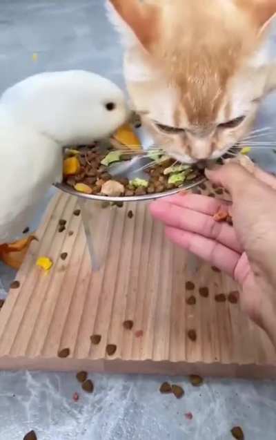 Very tasty.