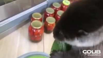 Мое!