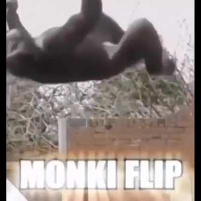 AnimeLoLTurkiye