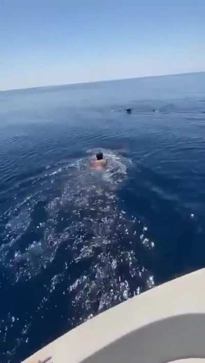 Riding a whale in Yanbu !!