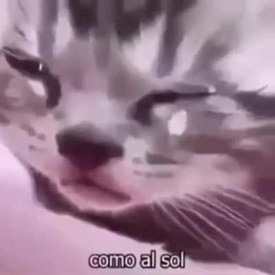 😔✊