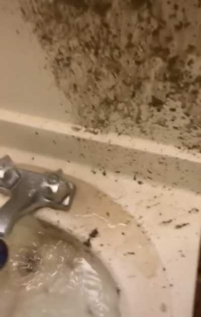 I can smell this