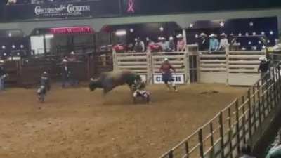 rodeo clown gets brained